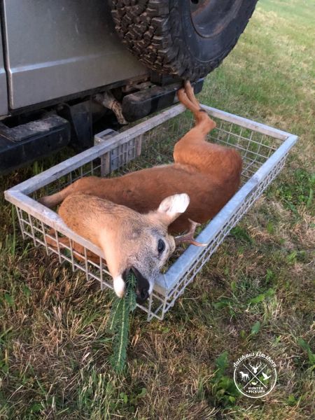 Heckträger / Wildträger für AHK
